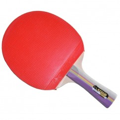 Набор для настольного тенниса DHS MT-2203 (1 ракетка, 2 мяча)